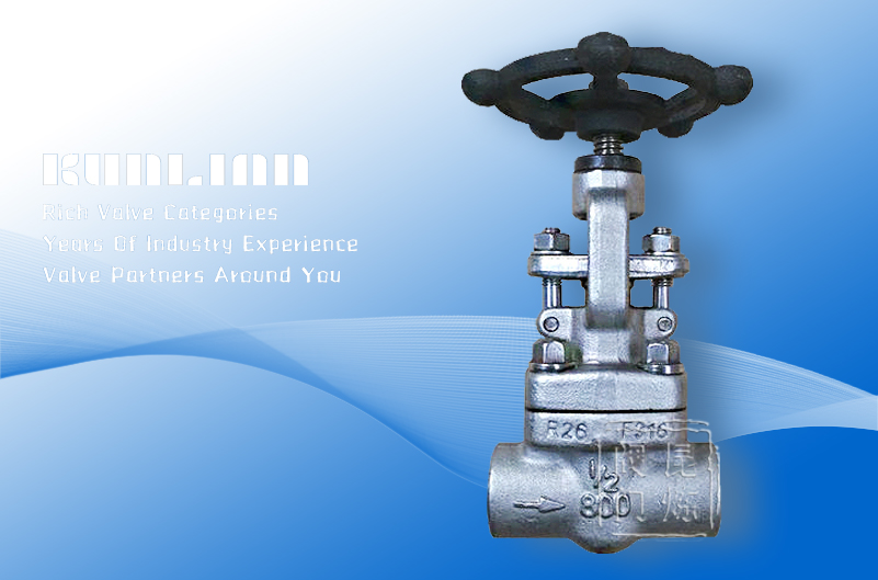 Z11H��Z61H���l�y