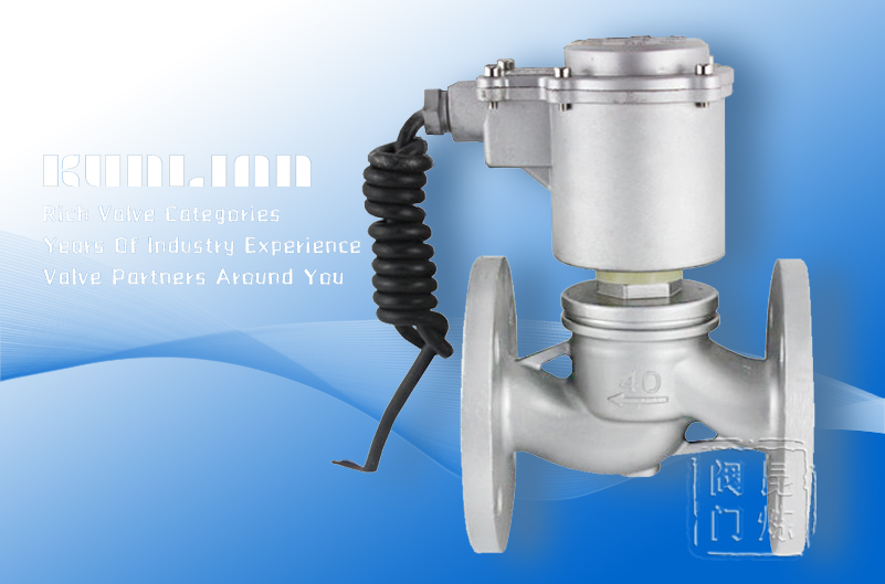 BZBSF不銹鋼防爆電磁閥 BZBSF不銹鋼防爆電磁閥