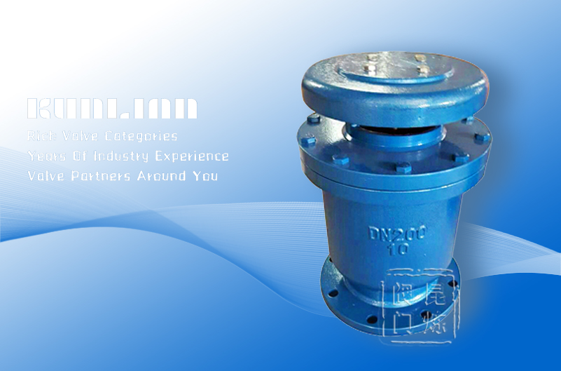 CARX-16C新型復(fù)合式排氣閥 CARX-16C新型復(fù)合式排氣閥