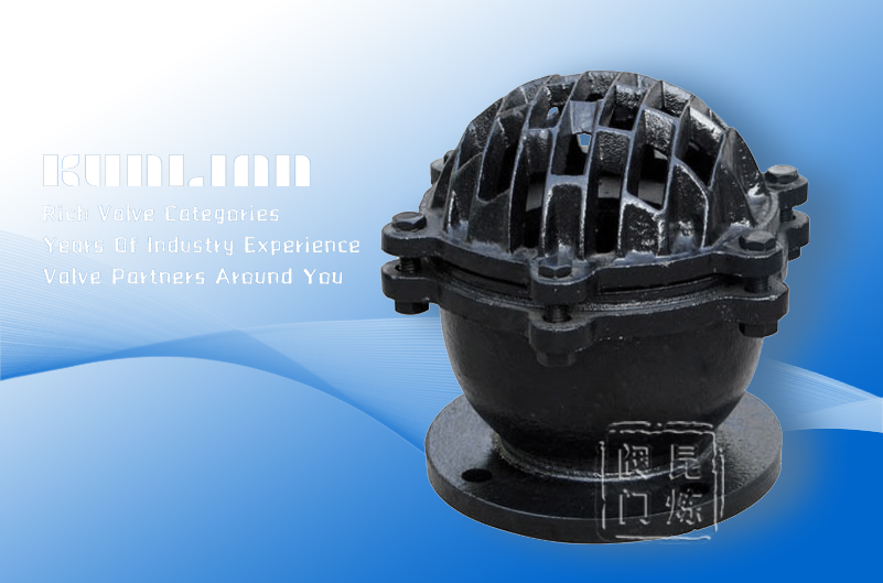 H42X,W鑄鐵法蘭底閥 H42X,W鑄鐵法蘭底閥