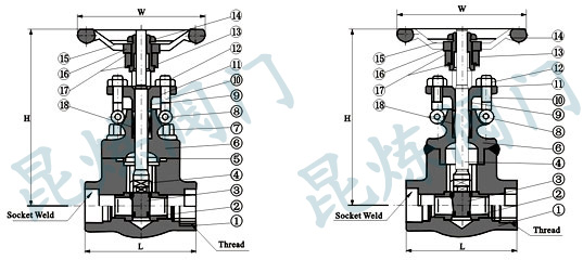 Z11H��Z61H���l�y�Y(ji��)��(g��u)�D- �Ϻ������y�T�������޹�˾