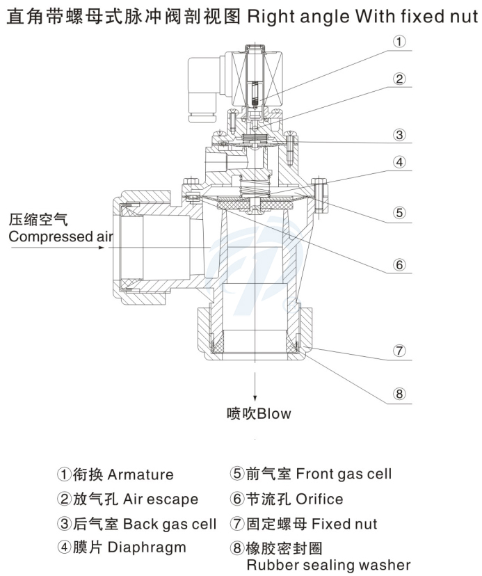 悶頭式電磁脈沖閥剖視圖