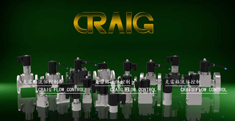 CRAIGֱ��ʽ늴��y