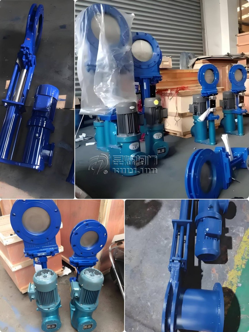 �Һ��(d��ng)�մ��l�y�x�͡��S��- �Ϻ������y�T(m��n)�������޹�˾